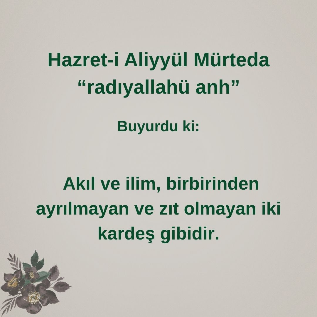 Aliyyül Mürteda (68)